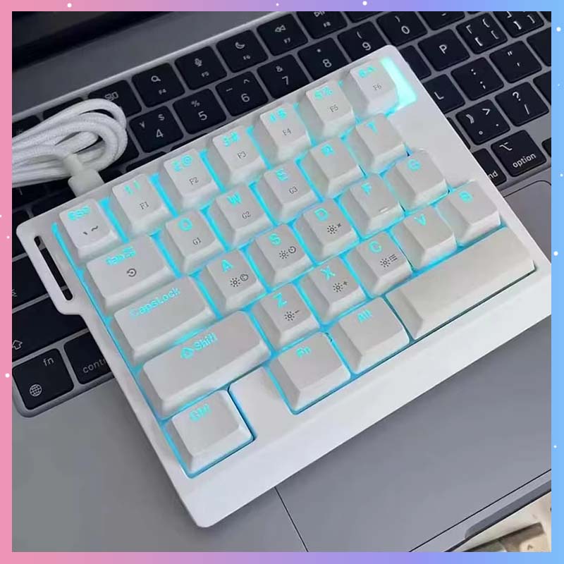Esports Gaming - HE30 Mechanical Gaming Keyboard 29keys Magnetic